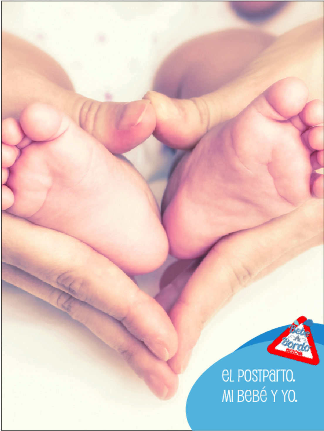 Abrazadera Víspera mostaza Guía de maternidad: El postparto "Mi bebé y yo"