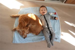 Mascota y bebé Happy Ohana