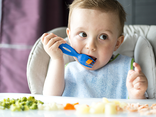 cómo debe comer el bebé a partir de los 6 meses