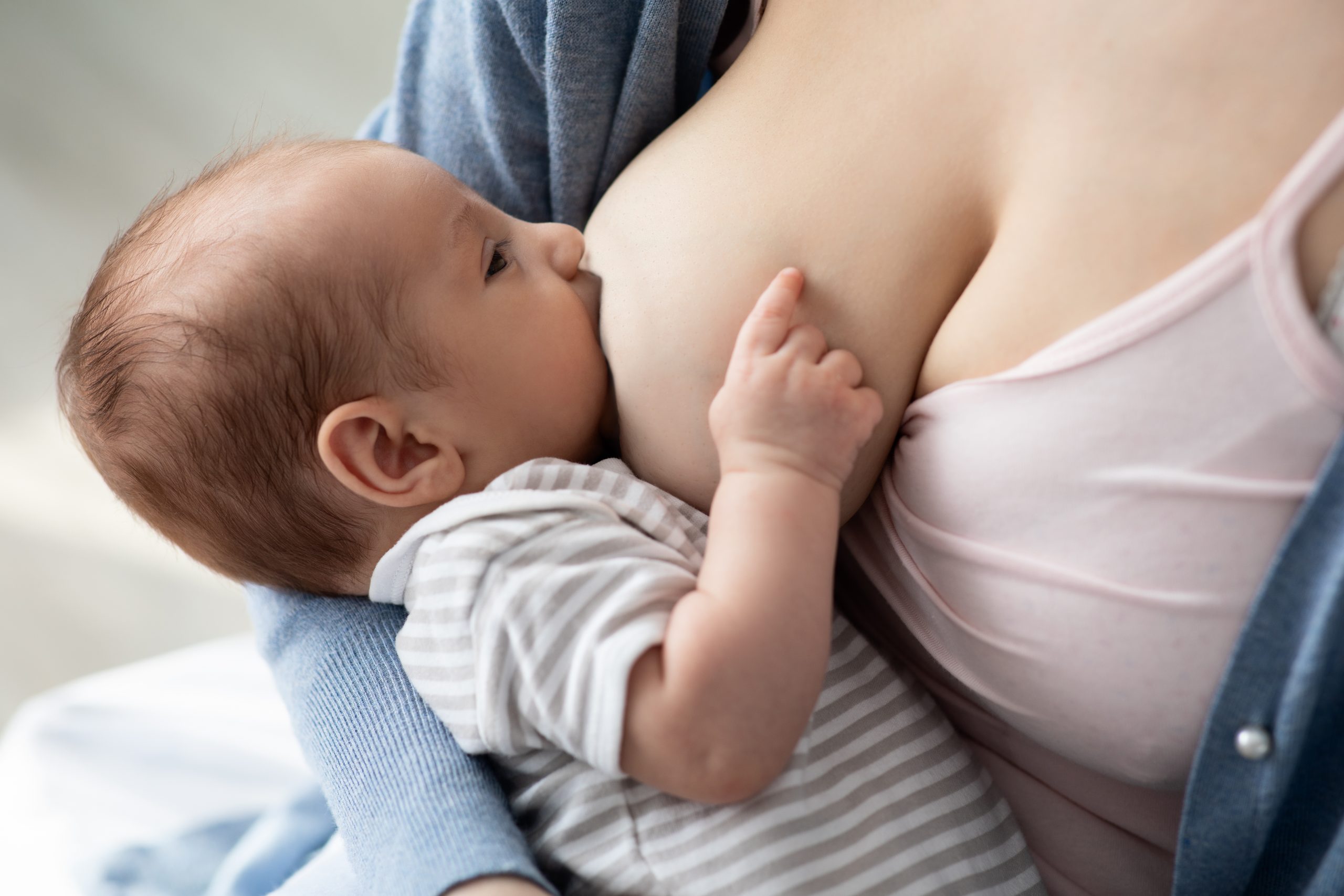 Cojines de lactancia - LA CASA DE LOS NIÑOS, especialistas en bebés