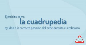La cuadrupedia estimula la buena posicionamiento del feto