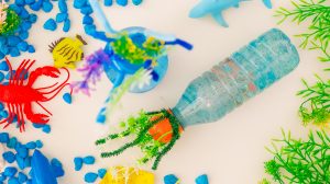 Crea una botella sensorial reciclada