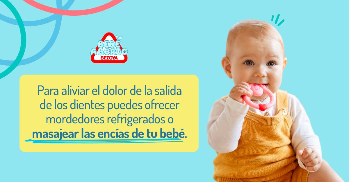 Para aliviar el dolor de la salida de los dientes puedes ofrecer mordedores refrigerados o masajear las encías de tu bebé
