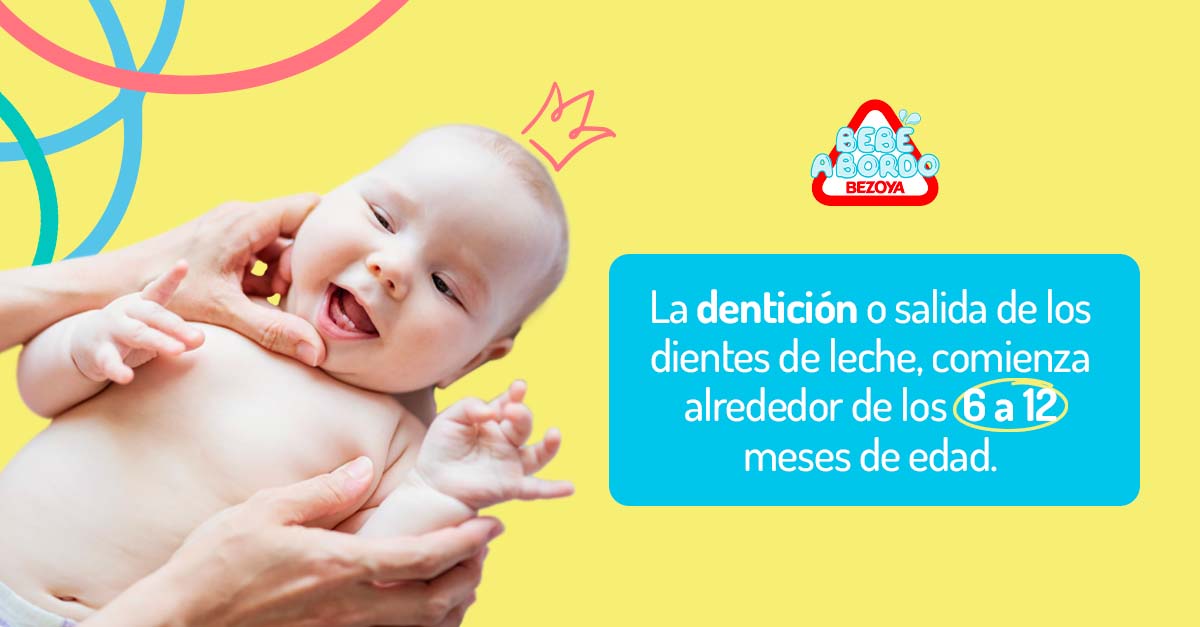 La dentición, o salida de los dientes de leche, comienza alrededor de los 6 a 12 mes de edad

