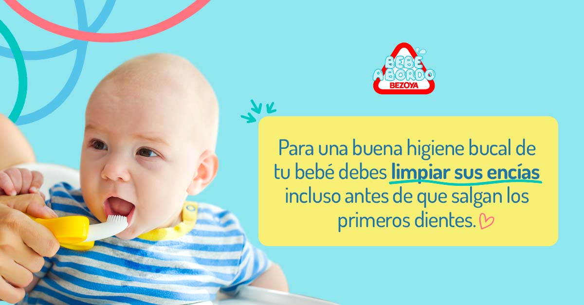Para una buena higiene bucal con los dientes de leche de tu bebé debes limpiar sus encías incluso antes de que salgan los primeros dientes
